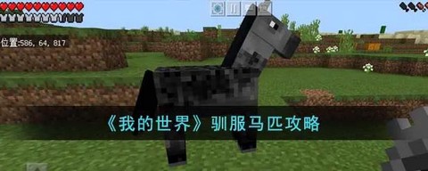 我的世界怎么给马命名[图1]