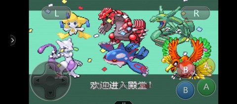 口袋妖怪绿宝石怎么忘记[图2]