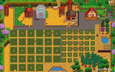 星露谷物语怎么养兔子[图2]