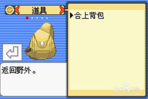 口袋妖怪怎么看背包[图1]