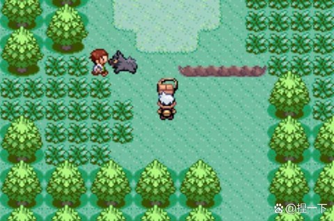 口袋妖怪怎么看背包[图2]