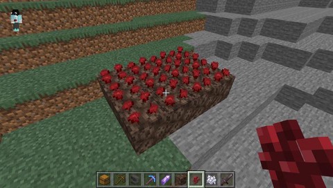 我的世界地狱庞怎么种[图1]