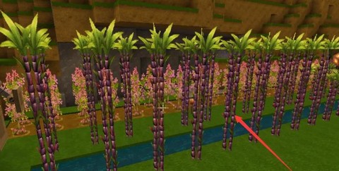 迷你世界甘蔗怎么种植[图1]