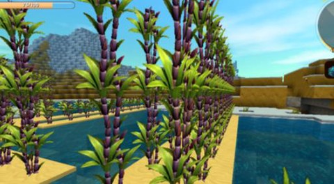 迷你世界甘蔗怎么种植[图2]